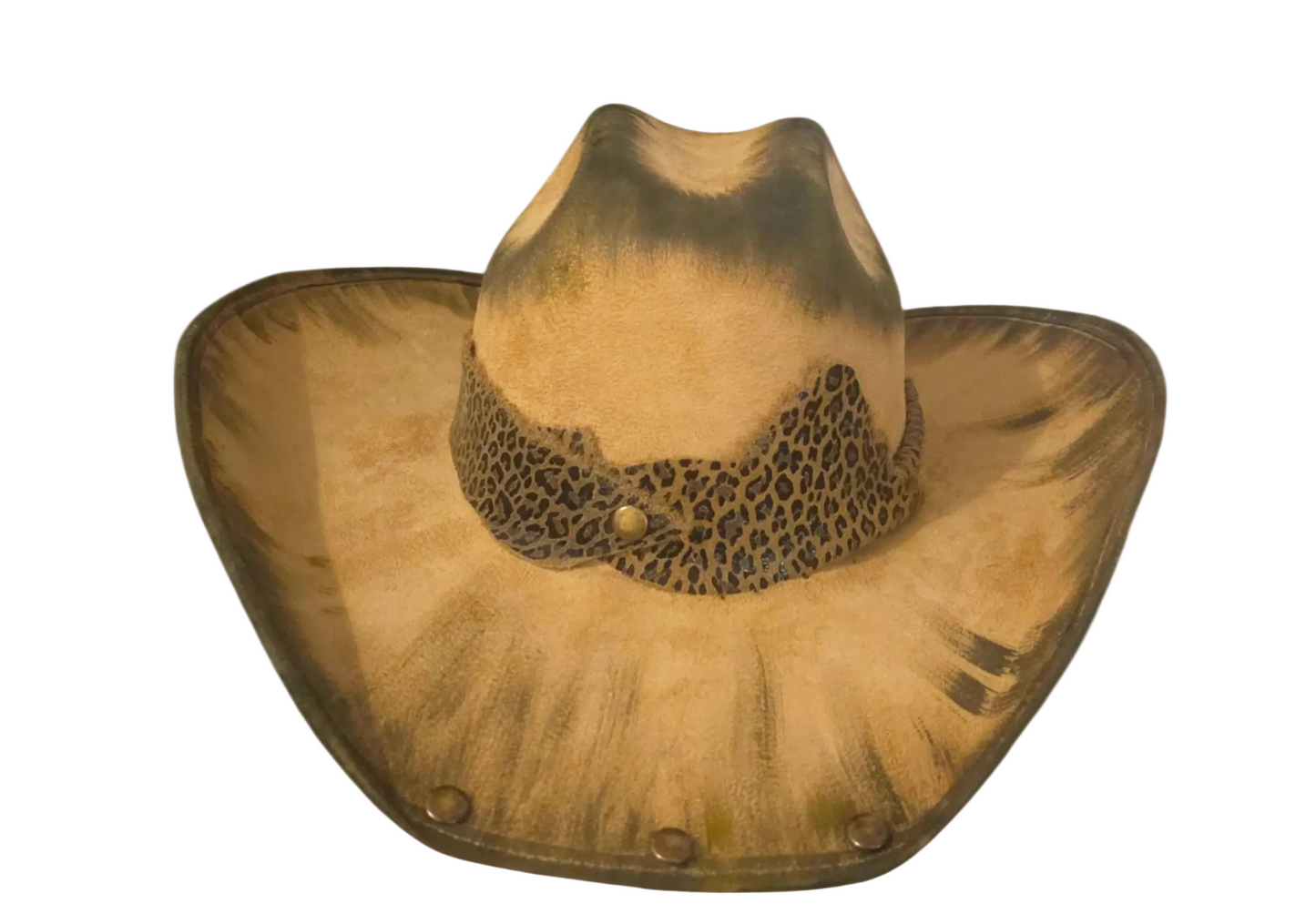 Safari