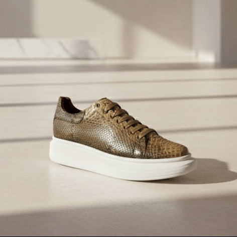 Modelo Medusa Full Python