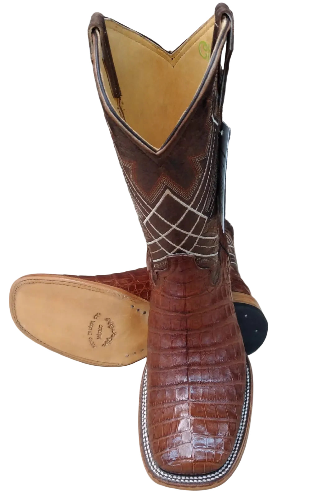 Cocodrilo Bulldog Chedron