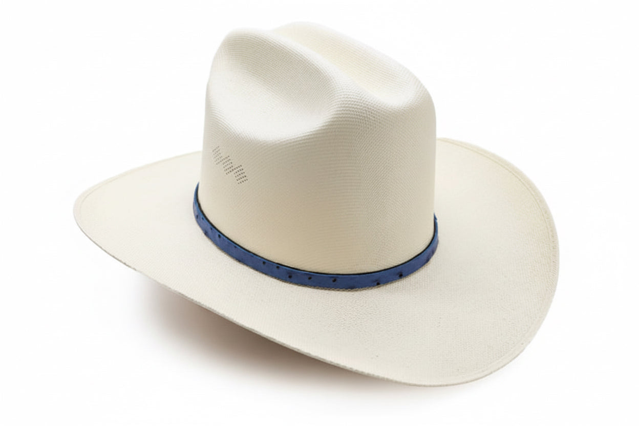 LAREDO 100X PRESIDENTE AVESTRUZ