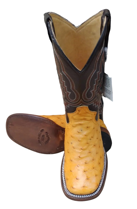 Avestruz Bulldog Amarillo