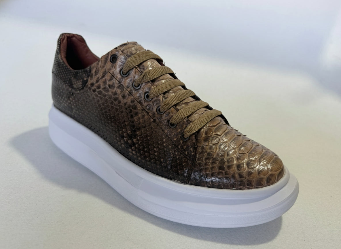 Modelo Medusa Full Python